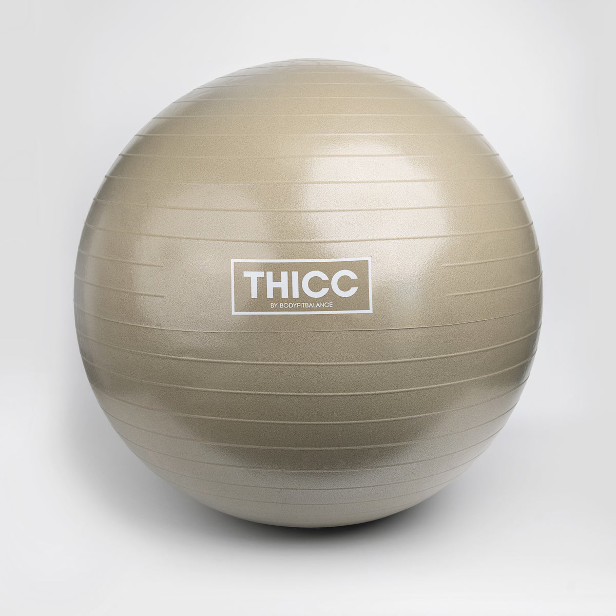 Body glove stability ball on sale