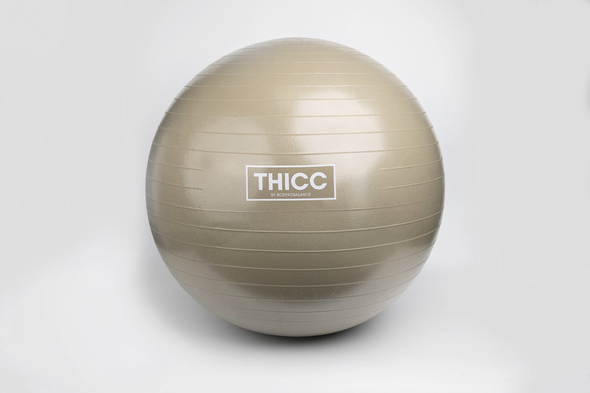 THICC Stability Ball BODY FIT BALANCE